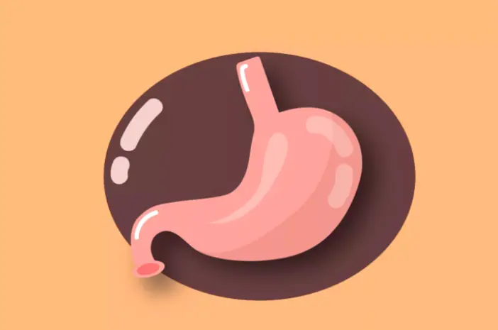 Gastroparesis