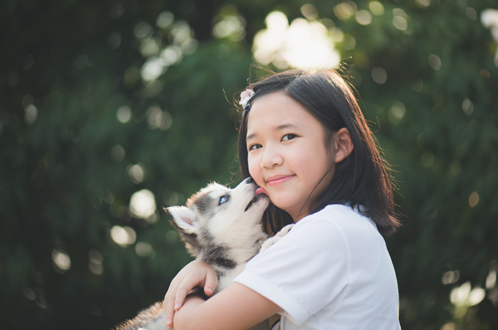 10 Jenis Anjing yang Memiliki Karakter Ramah