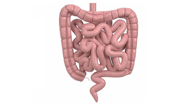 ileus-paralitik-halodoc