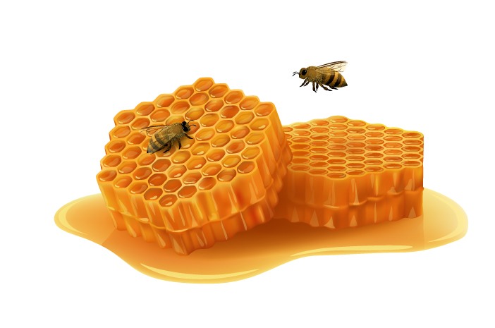 Trypophobia, Apa yang Perlu Didiskusikan dengan Psikolog?
