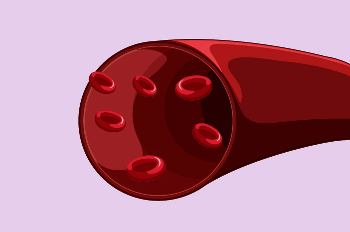 Thalassemia