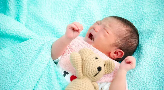 Pertumbuhan Bayi