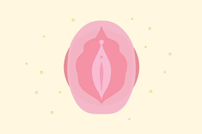 Inilah Fungsi Vulva dalam Sistem Reproduksi Wanita