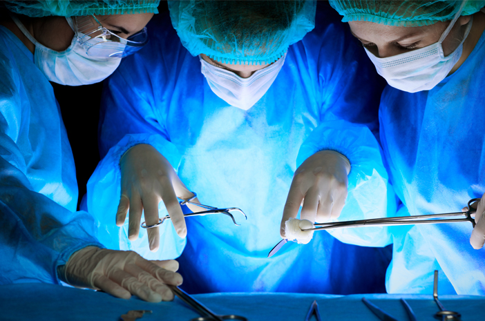 Berikut Ini Organ Tubuh Manusia yang Bisa Didonorkan