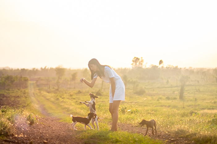 Alasan Pentingnya Menjaga Kesehatan Mental Anjing Peliharaan
