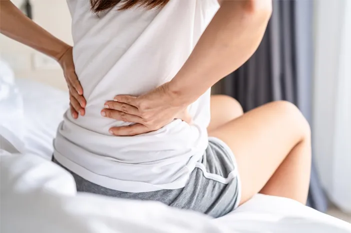 Medula Spinalis: Fungsi Penting dan Gangguan Umum