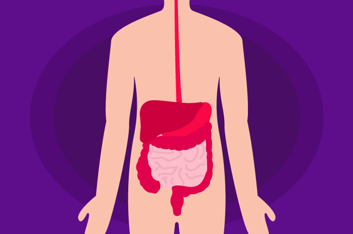 Dampak Kelebihan atau Kekurangan Enzim Pepsin dalam Tubuh