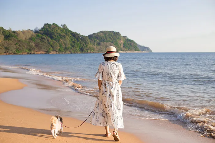Seberapa Sering Anjing Peliharaan Harus Dibawa ke Dokter Hewan?