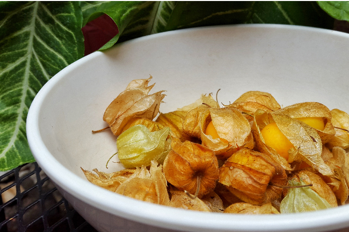 Ketahui Kandungan Gizi yang Ada dalam Buah Ciplukan