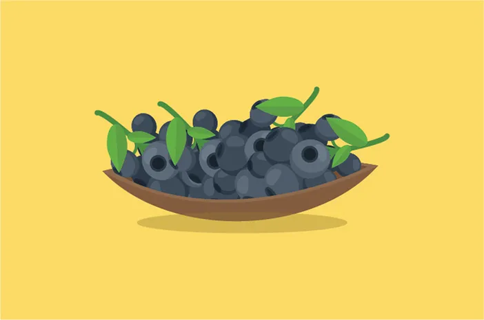 8 Manfaat yang Bisa Didapatkan dari Mengonsumsi Blueberry