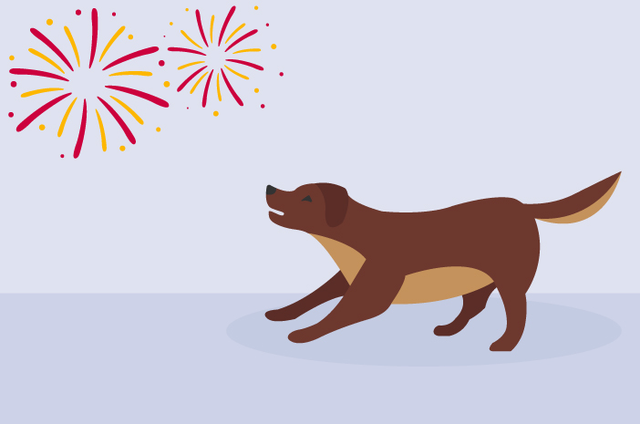 Tips Menjaga Anjing Peliharaan Tidak Stres dari Suara Kembang Api