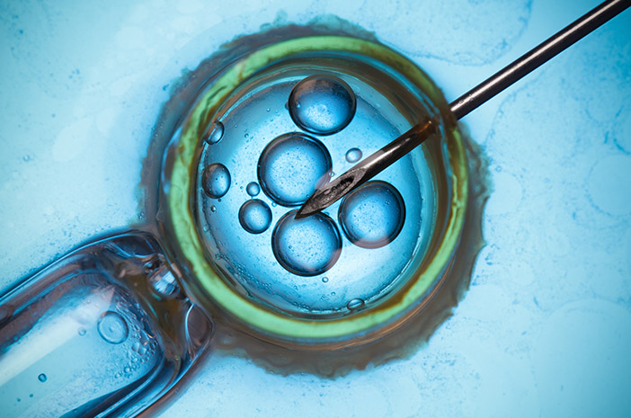 Apa yang Perlu Diperhatikan setelah Inseminasi Buatan?