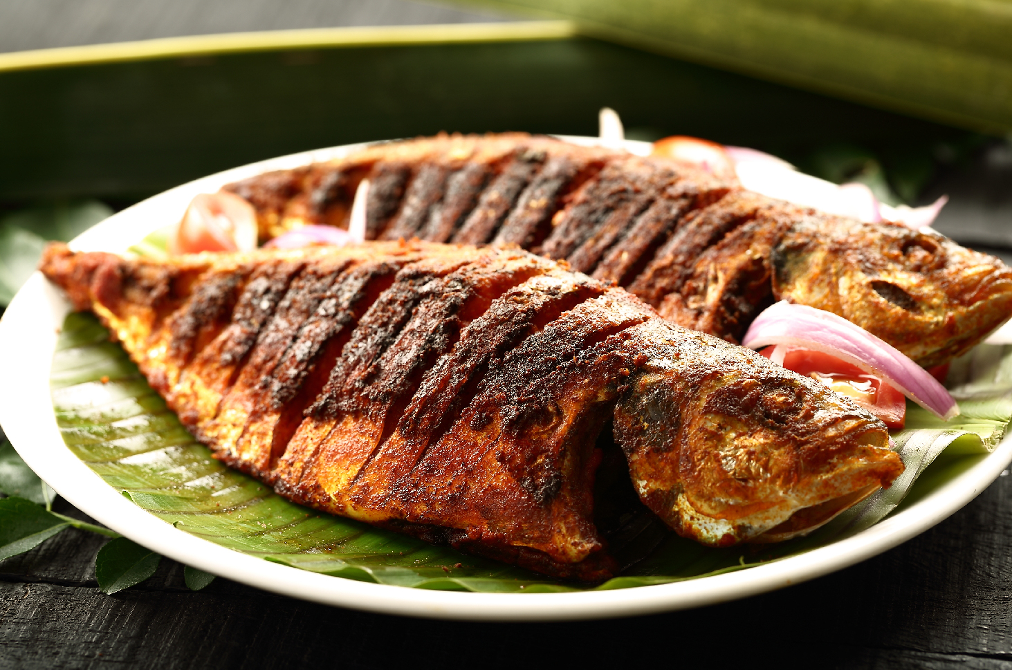 Ini Manfaat Ikan Gabus dan Kandungan Nutrisinya