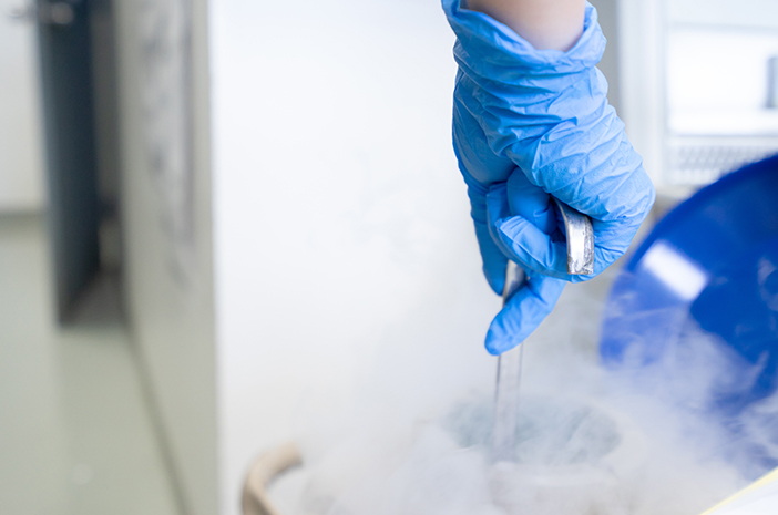 Egg Freezing, Tingkatkan Peluang Kehamilan Meski Usia Tak Lagi Muda