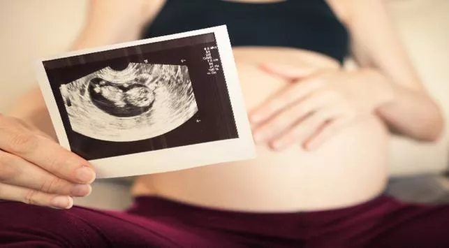 Ini Bentuk Janin 2 Bulan dan Perkembangannya