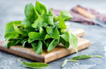 manfaat daun sage