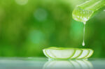 Aloe Vera Gel Jadi Pelumas saat Berhubungan Intim, Amankah?