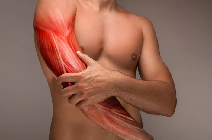 Mengenal Fungsi Otot Lurik yang Penting bagi Tubuh