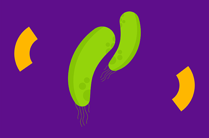 Ini Mitos dan Fakta tentang Bakteri Helicobacter pylori