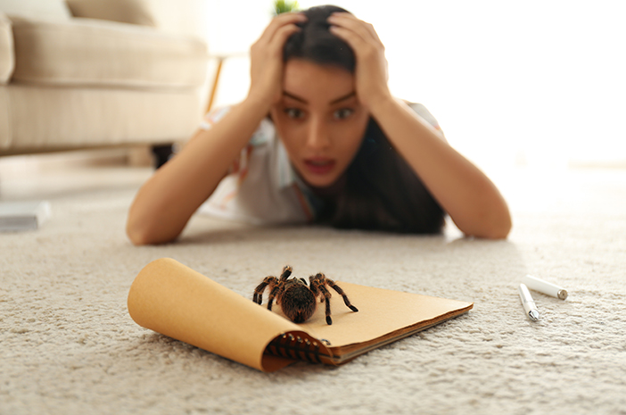 Ini Penyebab Arachnophobia, Takut Berlebihan pada Laba-Laba