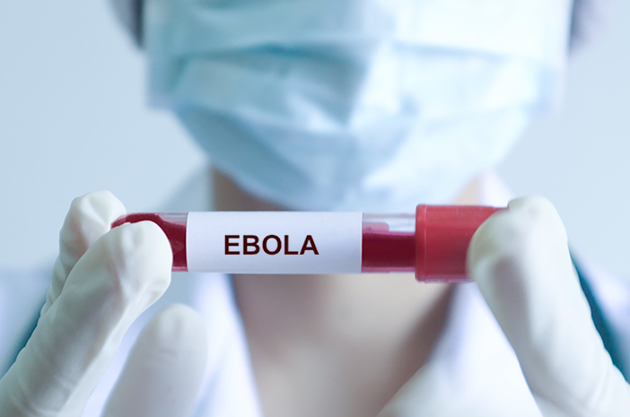 WHO Sebut Wabah Ebola di Kongo dan Uganda sebagai Darurat Kesehatan Global - Halodoc