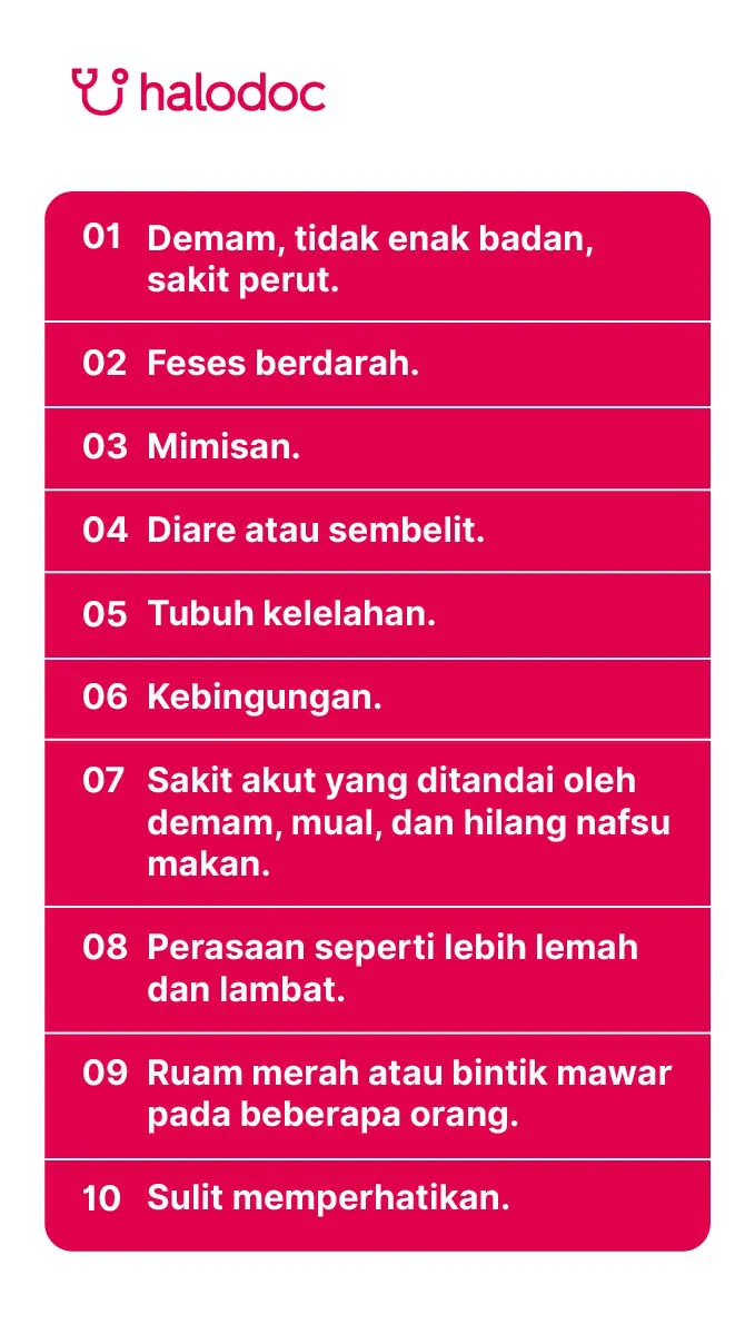 Gejala awal tipes berupa gangguan pencernaan yang sering disalahartikan sebagai sakit perut biasa
