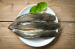 ikan untuk mpasi