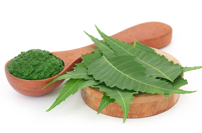 Mengenal Neem, Herba Alami untuk Skincare dan Khasiatnya