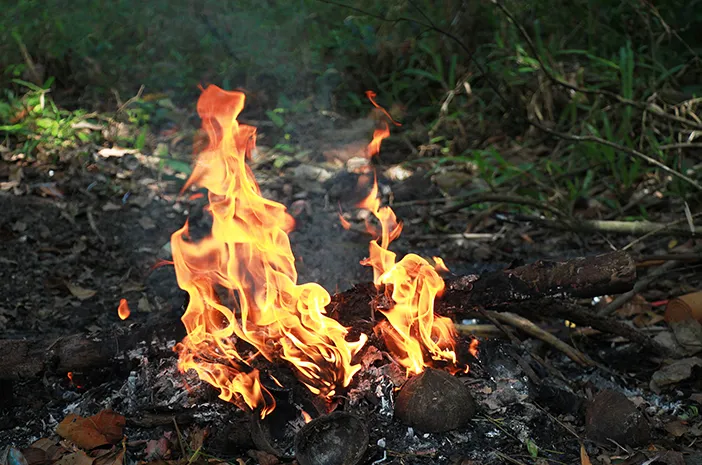 Ini Dampak saat Seseorang Memiliki Pyrophobia