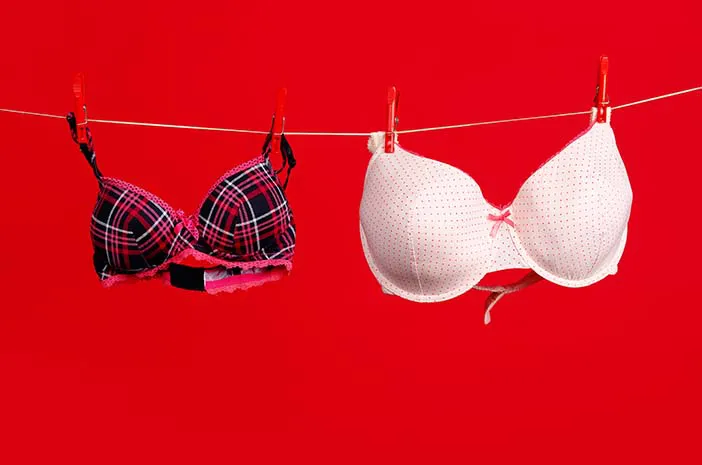 Fakta Kenapa Payudara Bisa Besar: Bukan Cuma Hormon