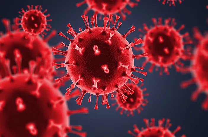 Catat, Ini Gejala Marburg Virus dan Bahayanya bagi Tubuh