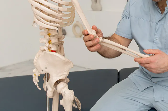 Memahami Lebih Jauh Tentang Rangka dan Tulang Manusia