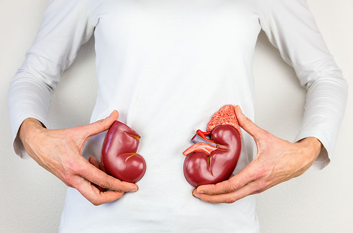 Ini yang Terjadi Akibat Gangguan Fungsi Ginjal