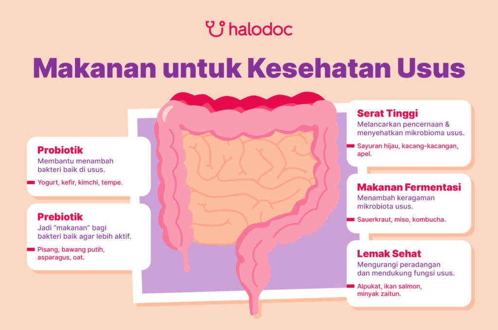 Makanan untuk Kesehatan Usus
