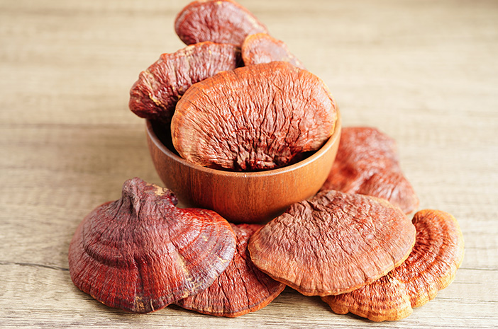 Jamur Lingzhi, Ini Manfaatnya untuk Kesehatan Tubuh