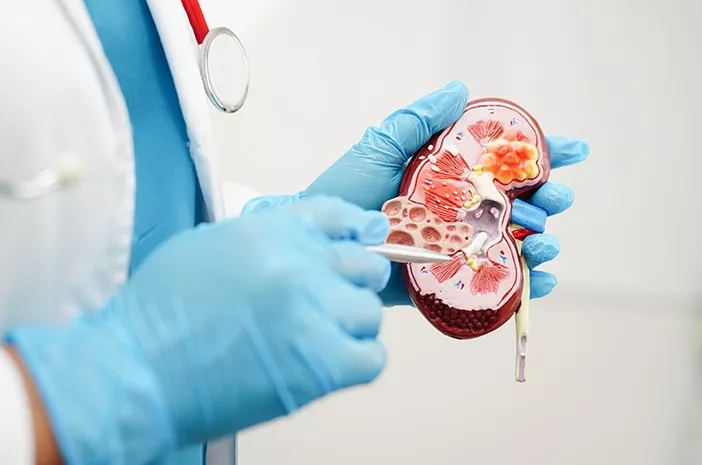 Kreatinin, Zat Limbah yang Berhubungan dengan Fungsi Ginjal