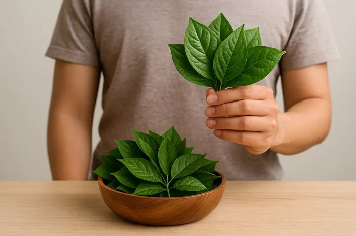 Mengenal Daun Karuk: Lebih dari Sekedar Bumbu Masakan