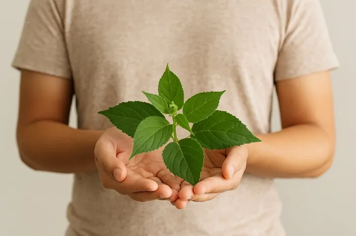 Porno aktrisa Mersedesning porno suratlari