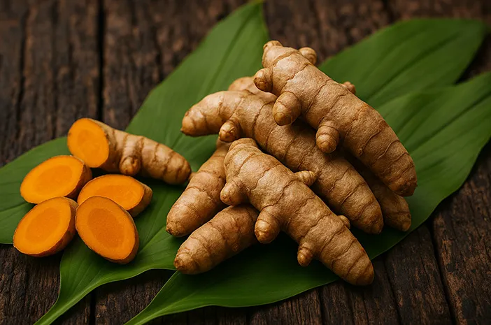 Bangle untuk Ibu Hamil, Ini Manfaat dan Cara Aman Mengonsumsinya