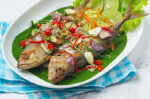 ikan cakalang
