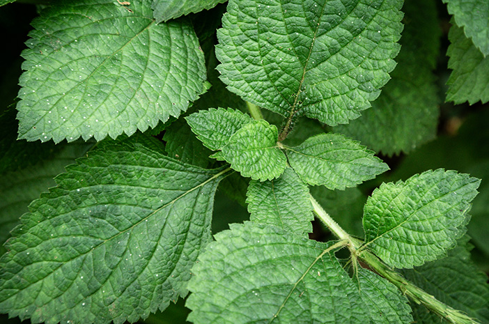 Mening sobiq xotinim bilan jinsiy aloqa qilish orzulari