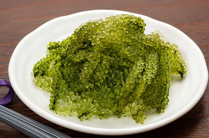 Anggur Laut: Manfaat Sehat dan Cara Konsumsi Alga Unik