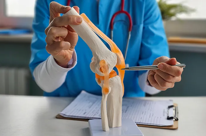 Tulang Manusia: Fungsi, Struktur, dan Fakta Penting