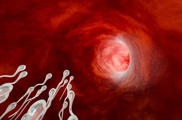 Bila Sperma Sudah Masuk Rahim, Adakah Cara untuk Mencegah Kehamilan?