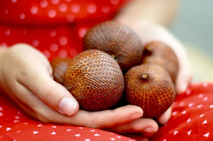 Apa Saja Kandungan Vitamin yang Terdapat dalam Buah Salak?