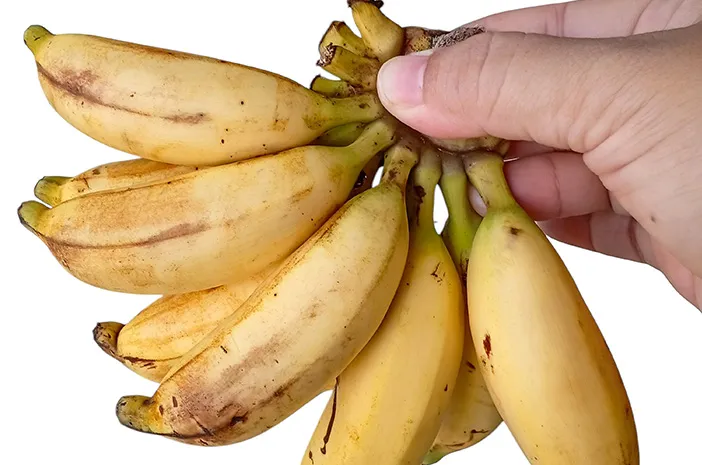 Pisang Susu: Manis, Lembut, Kaya Nutrisi!