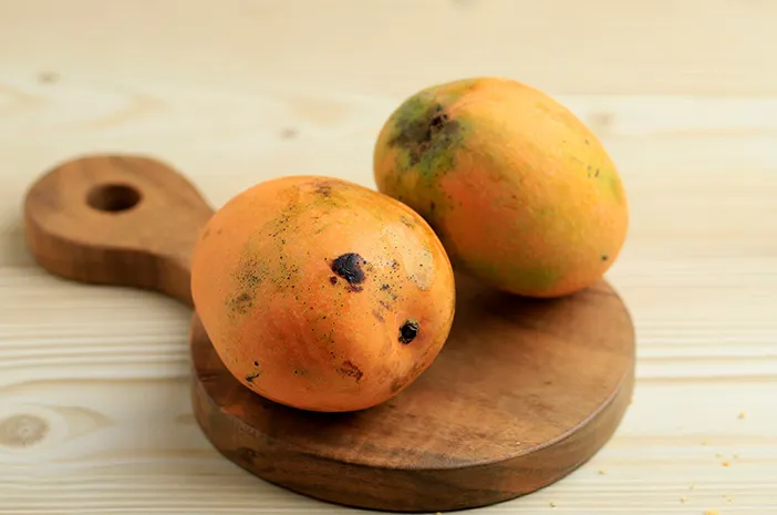 Mangga Gedong: Asal, Rasa, dan Cara Budidaya Mudah