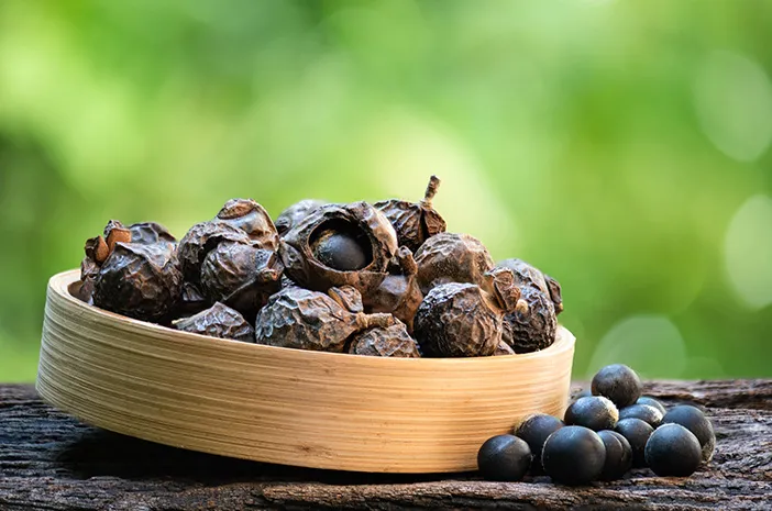 Buah Lerak: Manfaat, Cara Pakai, dan Fakta Menariknya