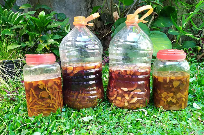 Eco Enzyme dari Sampah Organik: Solusi Ramah Lingkungan dan Hemat Biaya