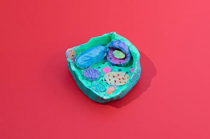 Sel Sentriol, Ini Pengertian, Ciri-Ciri, dan Fungsinya